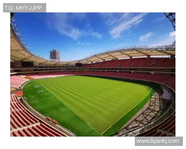 足球场顶下的激情与梦想：探索绿茵场上的无尽可能与未来希望